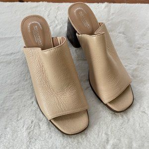 New With Box Rockport Amara Mules Size 7.5